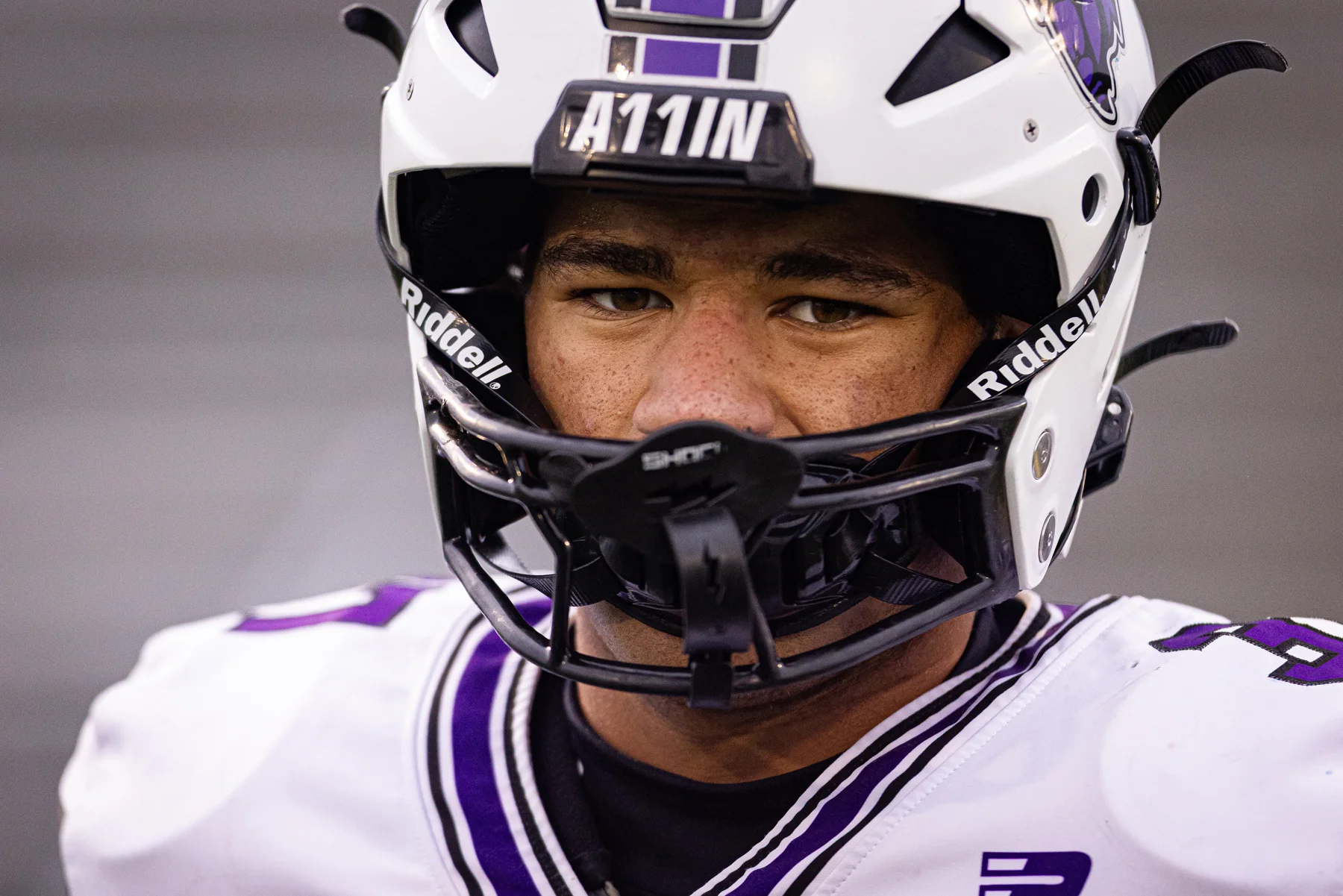 Buffalo Focused