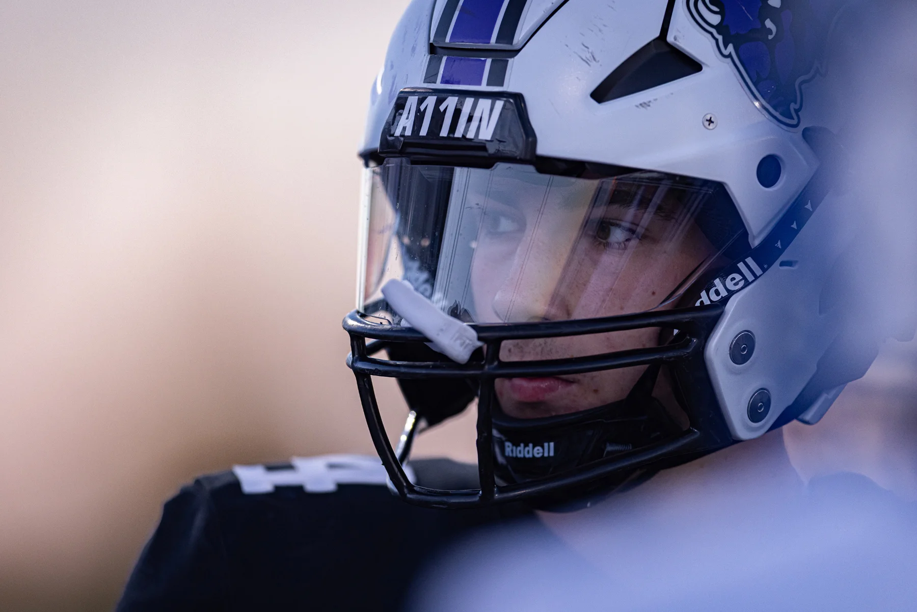Bison focused