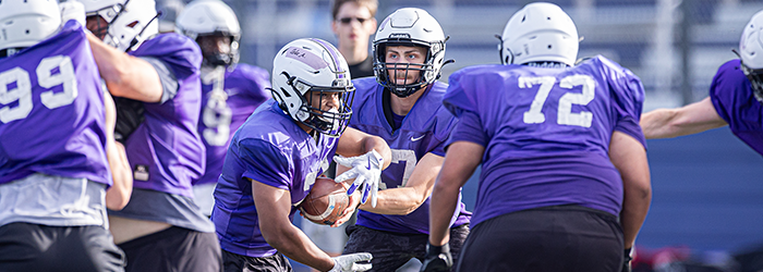 Buffalo QB handing off the ball to the RB