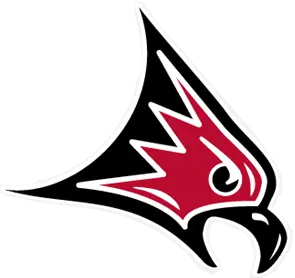 UW-River Falls Falcons Football