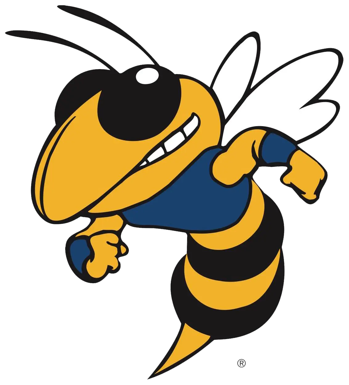 Big Lake Hornets Football
