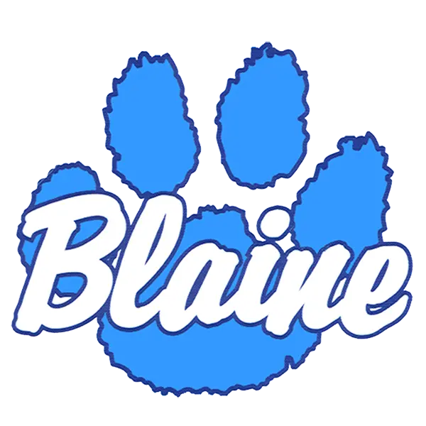 Blaine Bengals Football